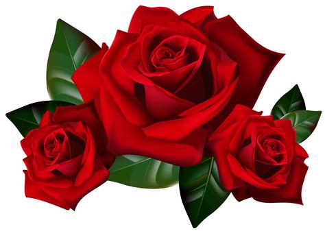 Discover and download free flower png images on pngitem. Red Rose PNG Transparent Image | PNG Mart