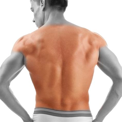 Back and Shoulders - Laser Hair Removal NYC