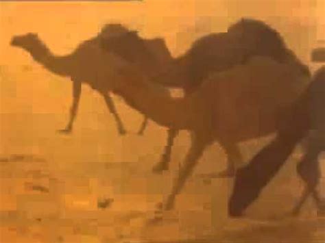 في حال أردت الاطلاع على مناصب الشخصية, يمكنك تسجيل الدخول مجاناً. ‫قصة حرب ابن هادي والجحادر مع الشريف والقبائل الي معه ...