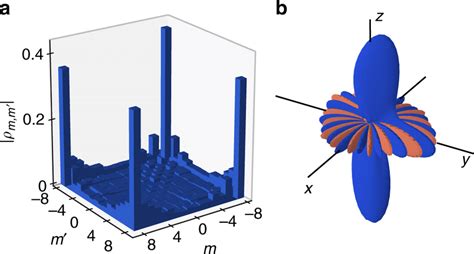 Gaz de dysprosium ultrafroid dans des pièges dipolaires optiques : Tomographic reconstruction of the kitten state. a Absolute ...