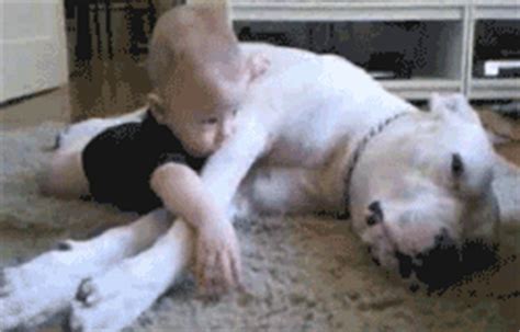 About 2 weeks of age his eyes will begin to open and at 3 weeks his ears will open. These Heartwarming Photos Of Pit Bulls Show You They Love Cuddling Most - Thedailytop.com