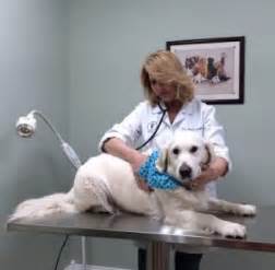 Our professional and courteous staff seeks to provide the best possible medical, surgical, and dental care for our patients. Veterinary Services in Middletown, MD | Valley Veterinary ...