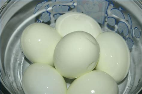 So while they won't survive as long as raw eggs, you can still cook up a whole batch, refrigerate them, and eat them within 5 to 7. Viola Family: How Long Can Eggs Be Left Unrefrigerated