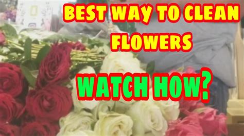 Check spelling or type a new query. Best way to clean and preserve the flowers (ofw life ...