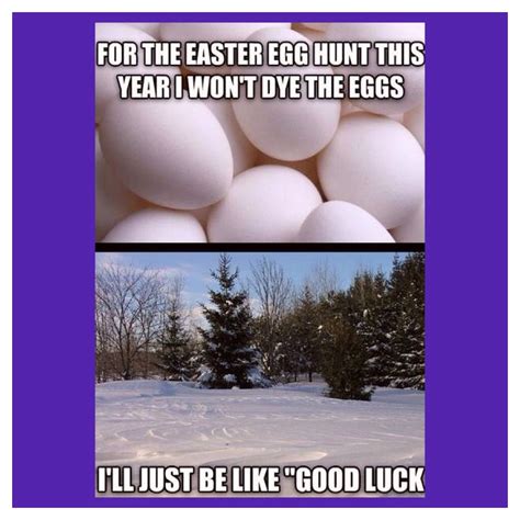 For those who don't already know, an easter egg is an unexpected hidden feature on something, usually included as a secret bonus. Ohio weather | Funny easter memes, Easter humor, Funny ...