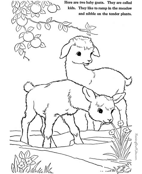 Funny farm animal coloring page: Farm Animal coloring pages - goats page to print and color ...