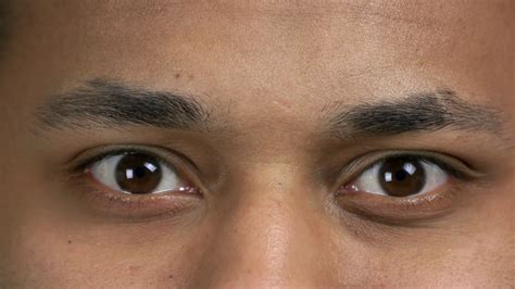 Beautiful male eyes close up. Extreme close up of young man with closed ...