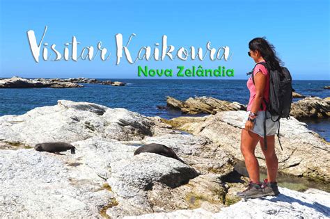 Maybe you would like to learn more about one of these? VISITAR KAIKOURA, a capital de observação de baleias da ...