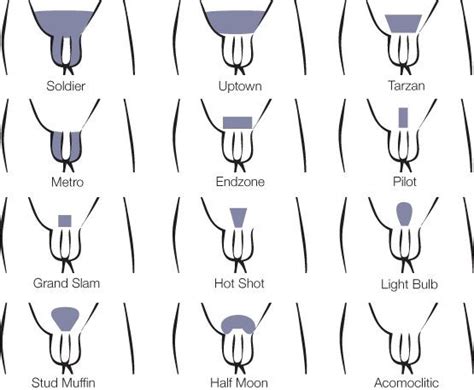 Types of pubic hair cuts men : 24 Best Ideas Pubic Hairstyles for Males - Home, Family ...