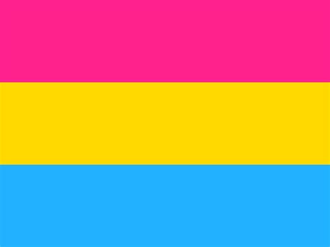 This pin is heart shaped with. PANSEXUAL FLAG 5FT X 3FT HIGH QUALITY FLAGS RAINBOW GAY ...