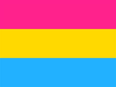 So, why are flags so symbolic of the movement? PANSEXUAL FLAG 5FT X 3FT HIGH QUALITY FLAGS RAINBOW GAY ...