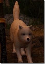 Discover them and find what you need now! BDO Fashion | Tier 4 Desert Fox (Black Desert Online)