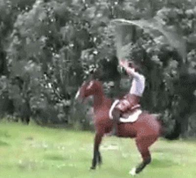 Share the best gifs now >>>. Awkward Dancing Horse Head GIFs - Find & Share on GIPHY