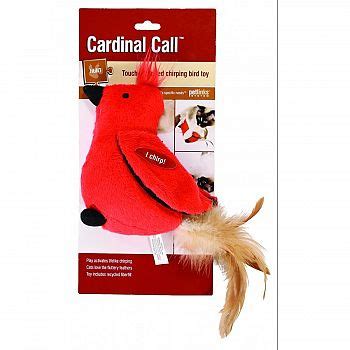 Smarty kat chickadee chirp electronic bird sound toy is sure to hit a high note with any cat realistic bird sounds get cat's attention fast it is by far the best cat toy i have ever gotten in decades of cat toys. Cardinal Call Chirping Bird Toy Cat Supplies - GregRobert