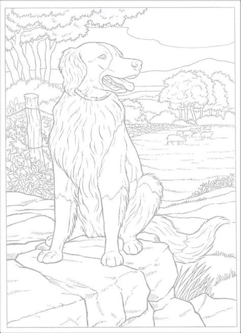 170+ pictures to choose from. Dogs to Paint or Color | Additional Photo (Inside Page ...