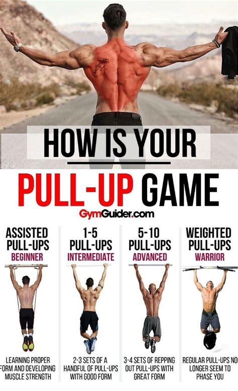 Dann bist du hier richtig! Pull Ups Workout Routine for Muscle Growth ...
