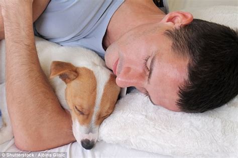 Maybe you would like to learn more about one of these? Let your dog sleep in your bedroom for a better snooze ...