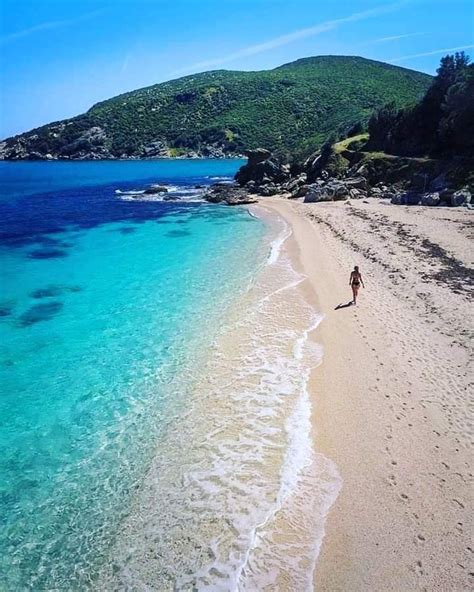 Guida alle più belle spiagge della grecia. Evia island. | Greece travel, Greece, Greek islands