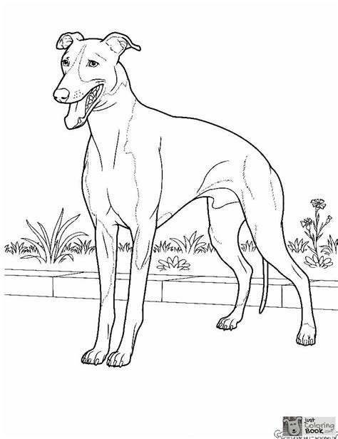 Free doberman pride coloring pages. doberman coloring pages ronniebrownlifesystems intended ...