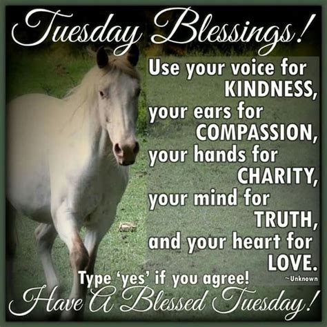 Learn to cherish the small things. Tuesday Blessings, Have A Blessed Tuesday! Pictures ...