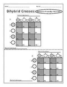 This worksheet shows a dihybrid cross and asks students to count how many of each phenotype are present and should reveal the 9:3:3:1 ratio. Dihybrid Cross Gamete Charts Dyslexia Blank Di-Hybrid 9:3 ...