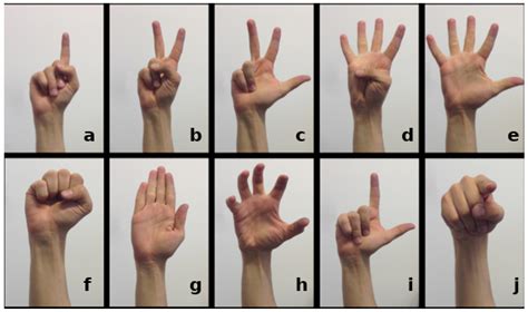 Sensors | Free Full-Text | Hand Gesture Recognition in Automotive Human ...