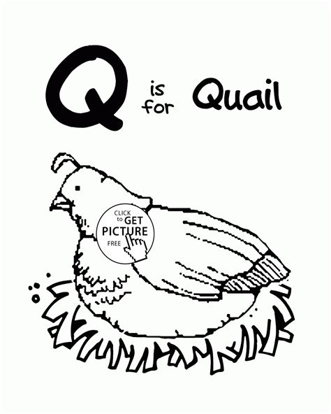 Q · quadrilateral · quadruped · quadruplets · quaesitosaurus · quagga · quail · quart · quarter : Letter Q - Alphabet coloring pages for kids, Letter Q ...