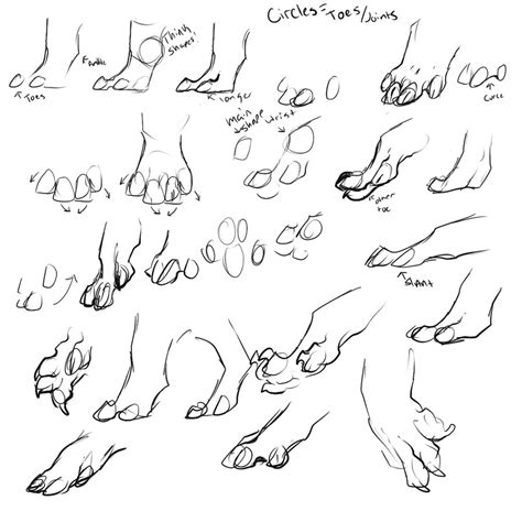 How to draw how to draw a sleeping wolf pup hellokids com. Wolf Paws Drawing at GetDrawings | Free download