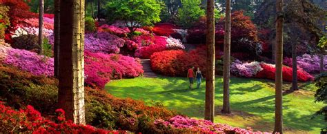 Your garden sounds truly beautiful. A common problem in wonky gardens is how Bristol gardening ...