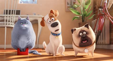 Secret Life of Pets Review: A Silly, Poorly Written Excuse for a Toy Story Retread
