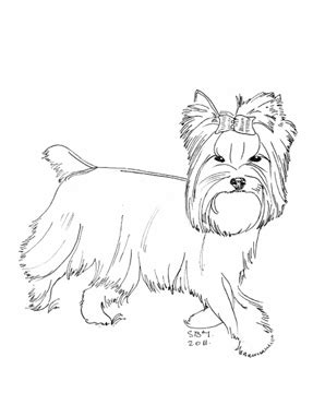 And you can freely use images for your personal make a coloring book with dog yorkie for one click. Download Yorkies coloring for free - Designlooter 2020 👨‍🎨