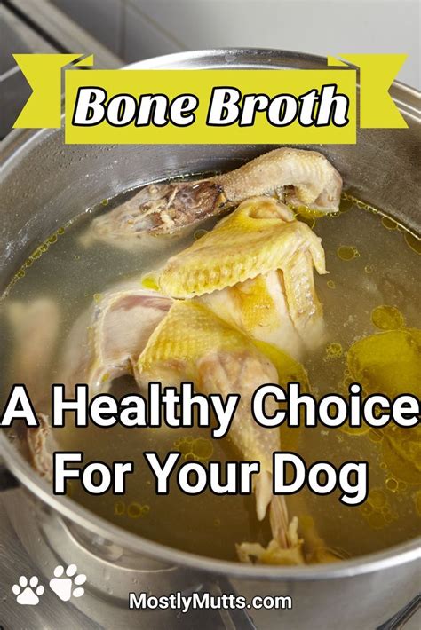 Bone broth contains significant amounts of collagen, which has been shown to have beneficial effects on your gut in several ways. Bone Broth for Dogs | healthy dog | Dog treats grain free ...