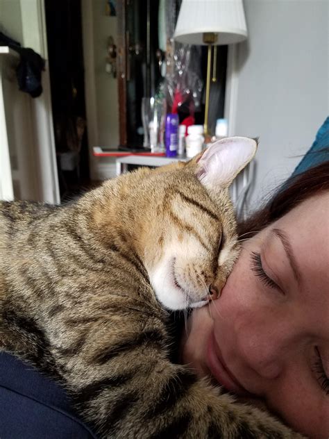 This is much less than a traditional casket that is used for a burial (plus you don't need a vault). Look how much my wife's cat loves her : aww