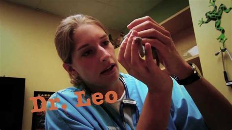 She has a special interest in exotic medicine, nutrition, and emergency care. Exotic Pet Vet - Teaser - YouTube