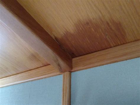 The damp patch will also wet the ceiling if in direct contact. Advice please - damp patches on ceiling - Boat Building ...