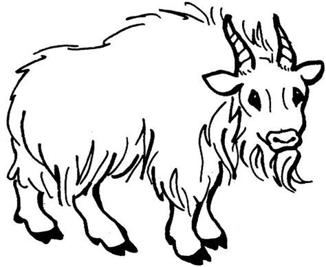 Mountain goat baby with family coloring page. Goat 18 | Mountain goat, Goats, Coloring pages