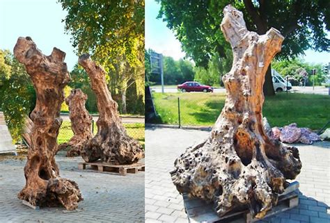 Zum einen der günstigere anschaffungspreis im vergleich zu. Holzskulpturen und Designermöbel aus Olivenbaum ...