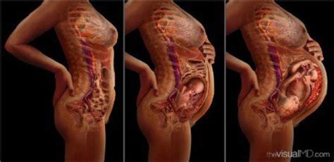 We did not find results for: Pin on zīdainis