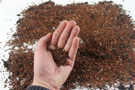 Switch to 1/4 to 3/8 size aggrigate in one or two bonsai and watch the difference in vigor. cat litter bonsai soil | Bonsai soil, Bonsai, Soil