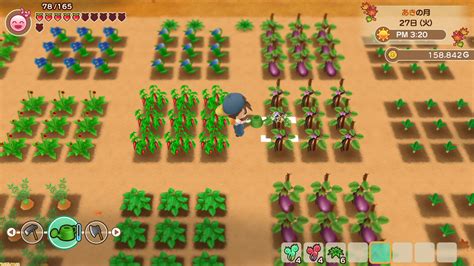 These recipes come from research on the internet and personal. Harvest Moon: Friends of Mineral Town Remake Coming To ...