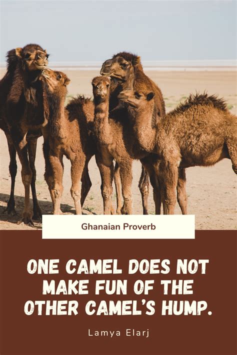 Why does a camel have nostrils which can close? Pin on AFRICAN PROVERBS