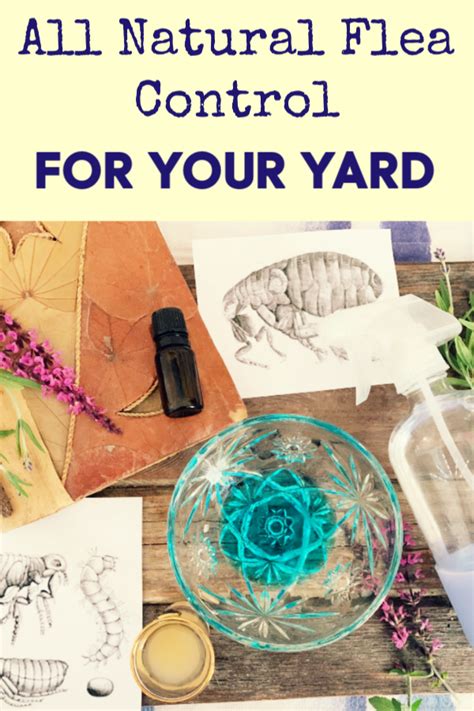 In general, natural options are safer than chemical pesticides and cause less harm to other most mosquito sprays contain ingredients that are harmful to all insects, so any extra pests in your yard will probably die off as well. Kill Fleas in the Yard: 5 Weird Tricks that Work! | Kill ...