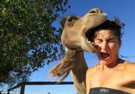 We want to know what features make the animal so dangerous: FUNNY PHOTOS: When Animals Attack Human | This is Kiyo and Filo Blog