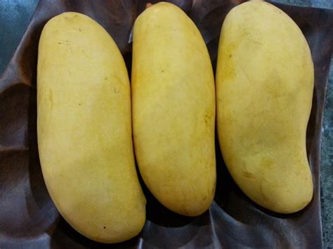 Here are the details on how to send money from india to us or abroad using outward remittance service provided by banks and agencies in india. Where do I buy Indian mangoes in the USA? - Quora