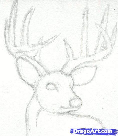 Learn how to draw deer head easy pictures using these outlines or print just for coloring. 26+ Trendy Drawing Animals Realistic Tutorials Step By ...