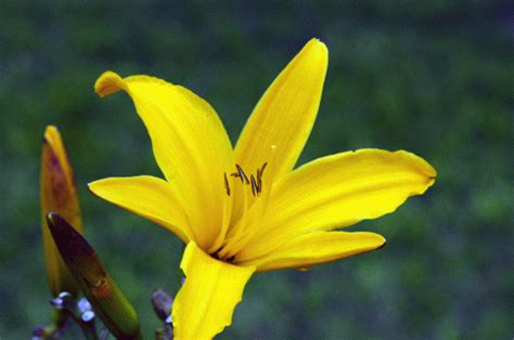 Spaziert durch die riesige gartenanlage. Botanischer Garten Ulm - Waschbrettbauch