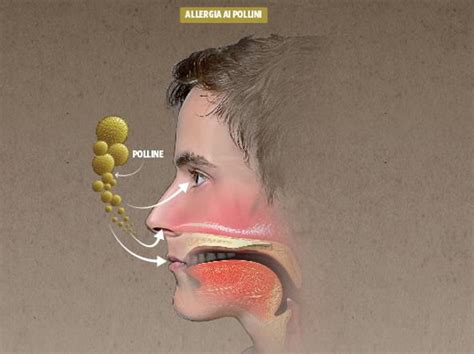 Allergia ai pollini, le differenze rispetto al raffreddore ...