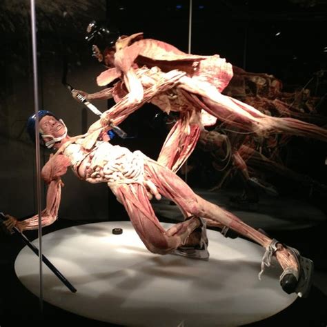 $20 off $100 or more on qualifying items excluding tax will. Body Worlds Vital (Now Closed) - Downtown Boston - 2 tips ...