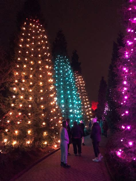 Is a privately held corporation that designs, manufactures, and sells portable lighting, fixture lighting, furniture, home décor items and a variety of other related products. A Little Time and a Keyboard: Reveling in Brilliant Lights at Lightscape at Chicago Botanic ...