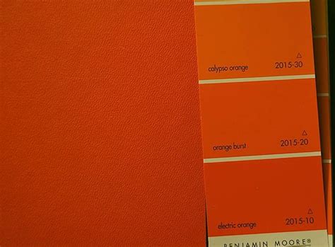 Tap this pin to pick a color and order online. Burnt Orange Paint Color Sherwin Williams / ColorSnap by ...